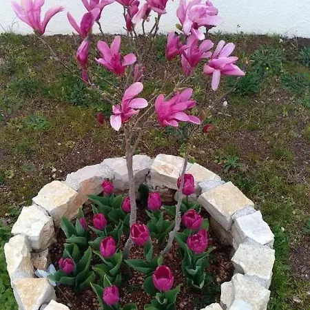 בית נופש Palme *