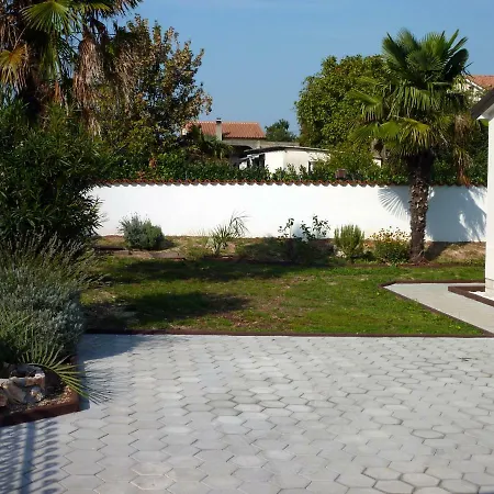 Palme פורץ